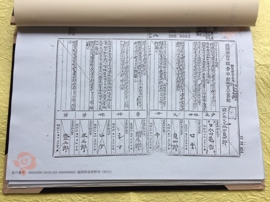 コラム 家系図あれこれ かまくら家系図作成所 神奈川県 鎌倉かもめ行政書士事務所