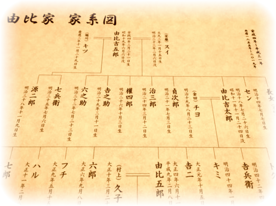 家族の歴史プラン かまくら家系図作成所 神奈川県 鎌倉かもめ行政書士事務所